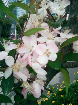 梦💞洁主播照片