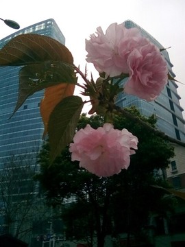 梦💞洁主播照片