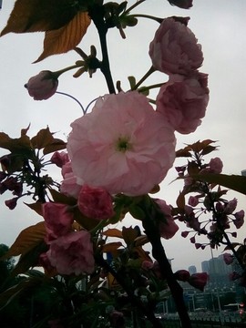 梦💞洁主播照片