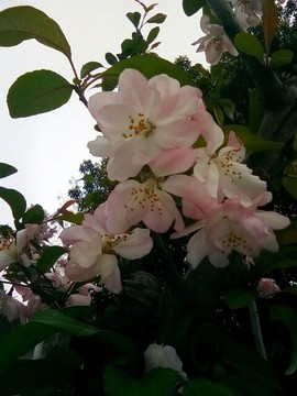 梦💞洁主播照片