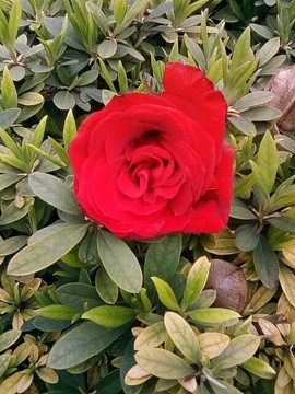 梦💞洁主播照片