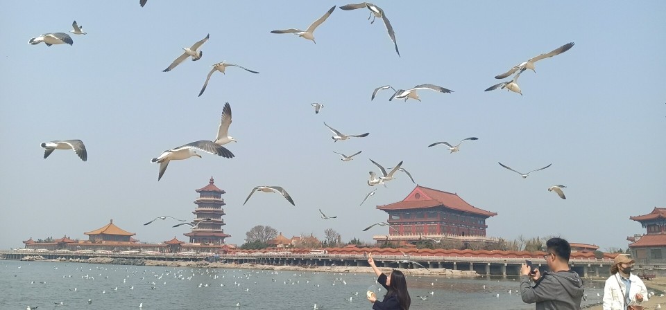 婷妹外卖小姐姐的图片