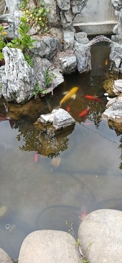 ♬默默✨小蛮宝☞🌜主播照片