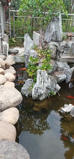 ♬默默✨小蛮宝☞🌜主播照片