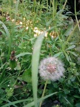 梦💞洁主播照片