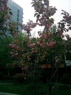 梦💞洁主播照片