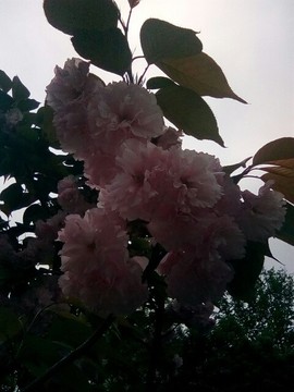 梦💞洁主播照片