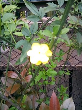 梦💞洁主播照片