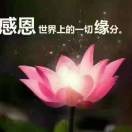 福满家园l