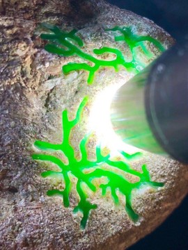 翡翠原石仙玉珠宝主播照片