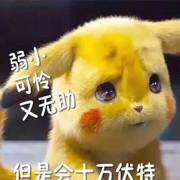 猪头就拱小白菜
