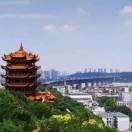 圣象绿茵地板