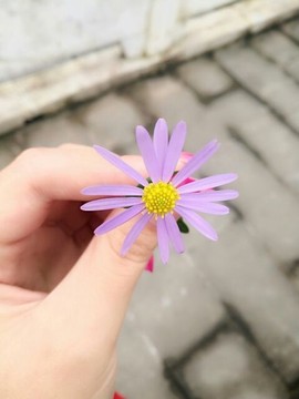 ♬默默✨小蛮宝☞🌜主播照片