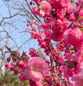 ♬默默✨小蛮宝☞🌜主播照片