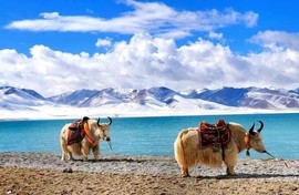 实力决定话语权主播照片