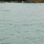 昵称违规，请重新修改海报