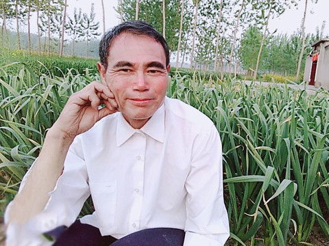 顾o7海报