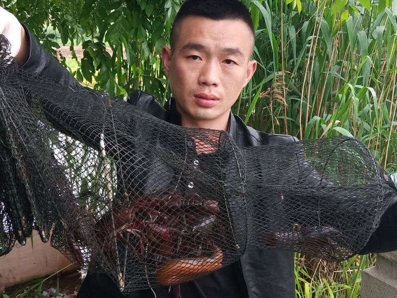 兄弟户外打野的主播海报