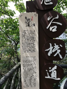 实力决定话语权主播照片