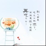 C雨宝丶缘由