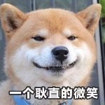 yellow你洋哥的头像