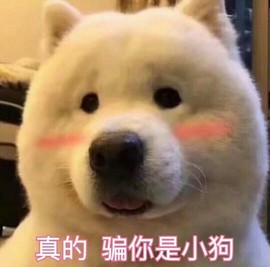 梦💞洁主播照片