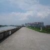 简单djw