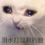 愛都是做出來的的头像