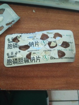 圣斗士p主播照片