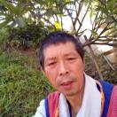 飞4no海报