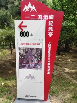 沙漠英雄《无与伦比》主播照片