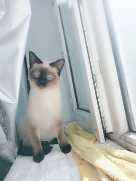 ✎﹏崔馨禾大病初愈主播照片