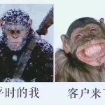 葒花郎