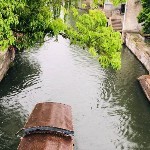 风雨如哥t海报