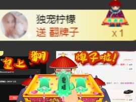 海鸽休息几天主播照片