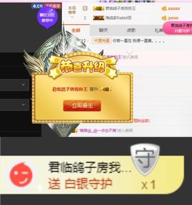 海鸽休息几天主播照片