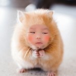 妮儿