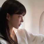 圆菜菜