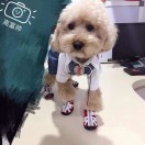 A-🐈协和兽医诊所🐶的头像