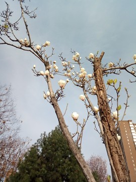 隨風的沙主播照片