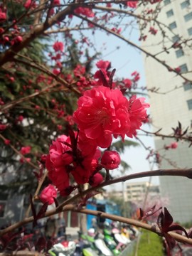 隨風的沙主播照片