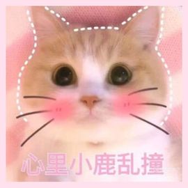 紫魅舞姬筱姿太难了！主播照片
