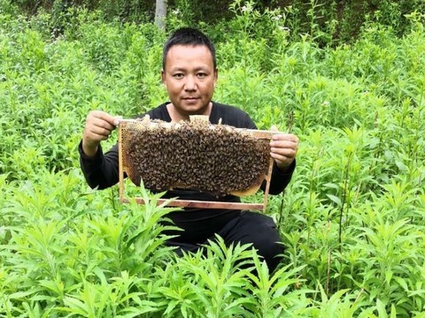 蜂蜜哥～户外海报