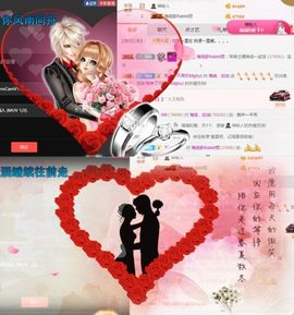 海鸽休息几天主播照片
