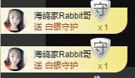 海鸽休息几天主播照片