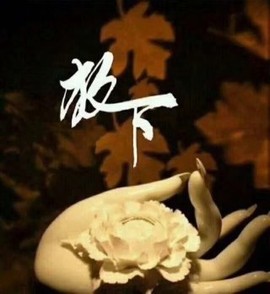 骑驴超飞机主播照片