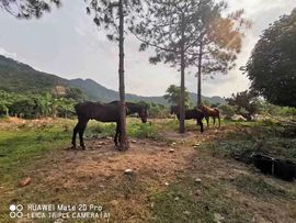 不让我学习我就跳海主播照片