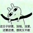 从此不在碰感情