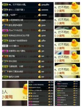 皮猴不播了主播照片