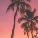 随缘钓鱼x海报